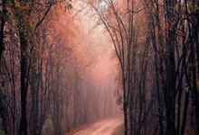 BBC:利夫拉门托、拉姆斯代尔落选英格兰vs拉脱维亚比赛名单.