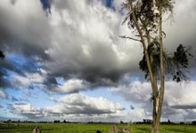 九游娱乐官网:足坛消息:德国杯足球赛 斯图加特打进半决赛.