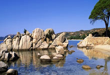 九游娱乐官网:巴黎奥运男子百米冠军无缘2024年度最佳田径运动员终选名单,因为跑得不够快?环球时报.